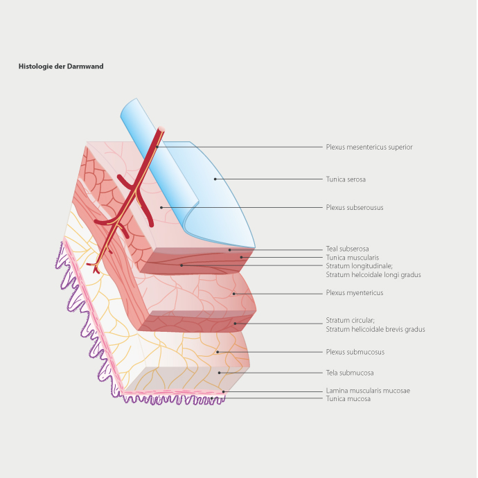 pharmAcutel_05